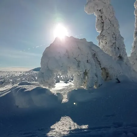 Lejlighed Stodola1 Harrachov