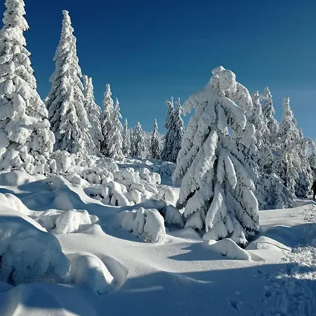 Stodola1 Harrachov