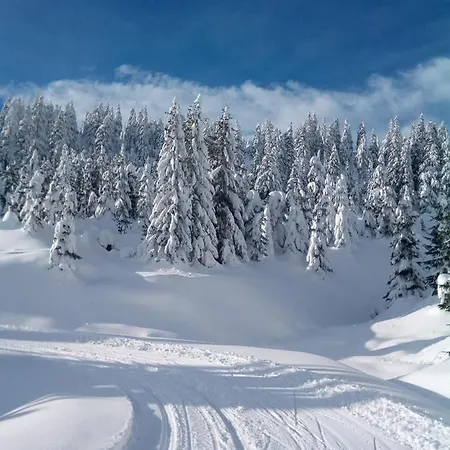 Stodola1 Harrachov